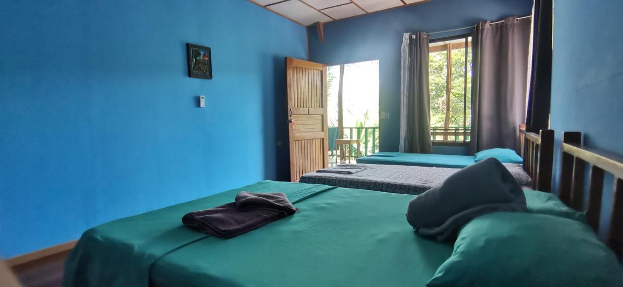 Drakes Bay Allegra Hostel מראה חיצוני תמונה