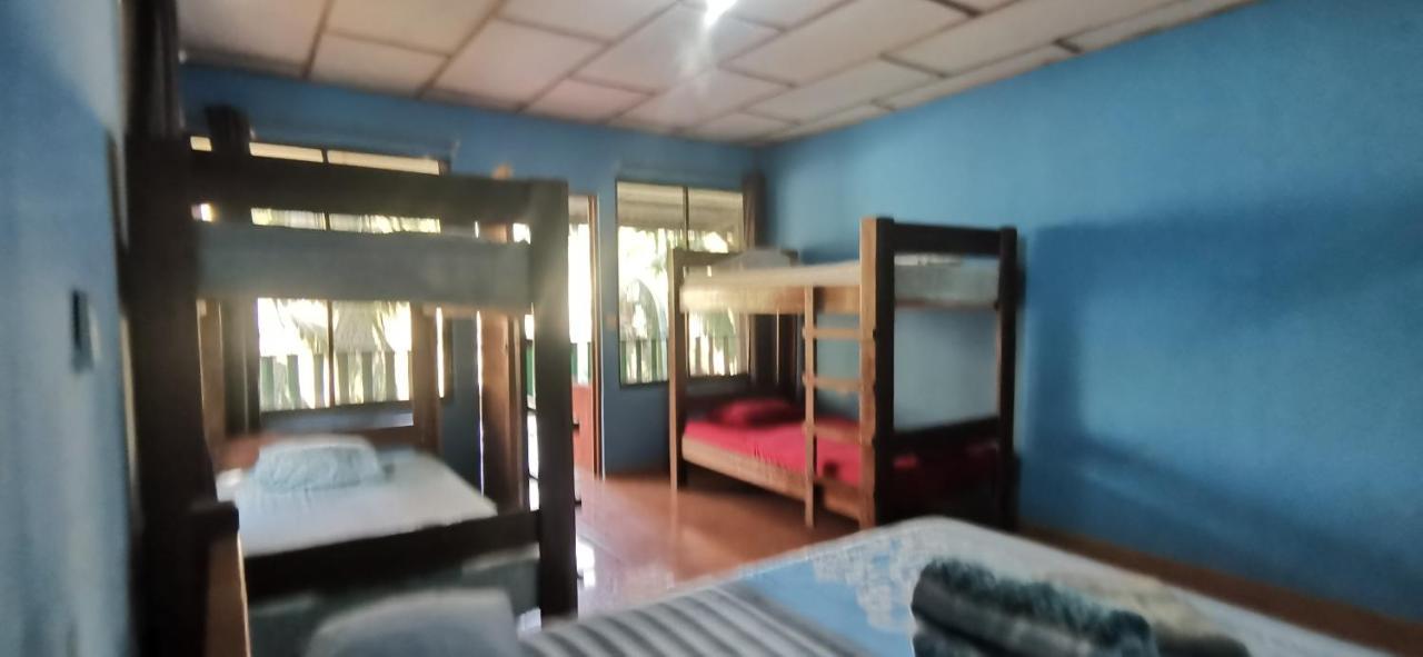 Drakes Bay Allegra Hostel מראה חיצוני תמונה